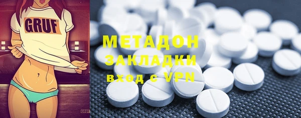 хмурый Аркадак