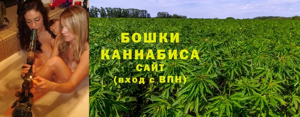 прущая мука Корсаков