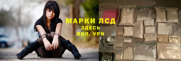 хмурый Аркадак