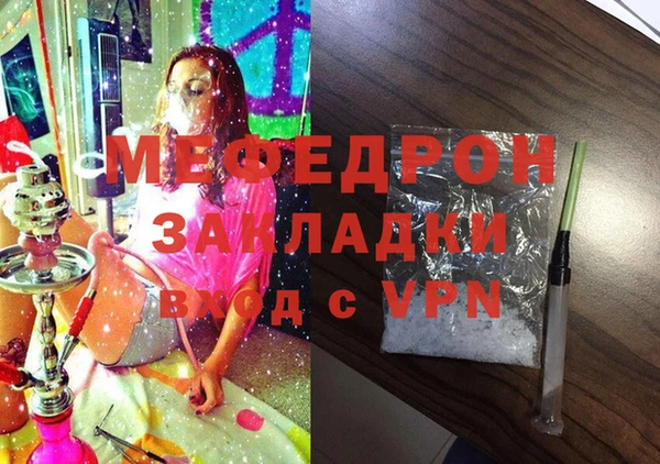 хмурый Аркадак