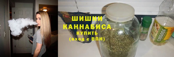хмурый Аркадак