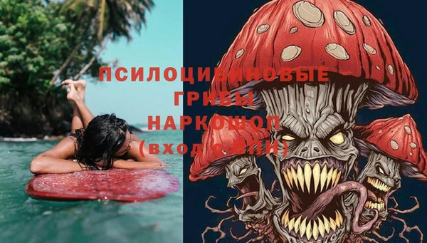 ECSTASY Баксан