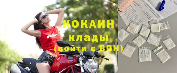 хмурый Аркадак