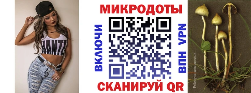 Псилоцибиновые грибы мицелий  ссылка на мегу как войти  Новомосковск 
